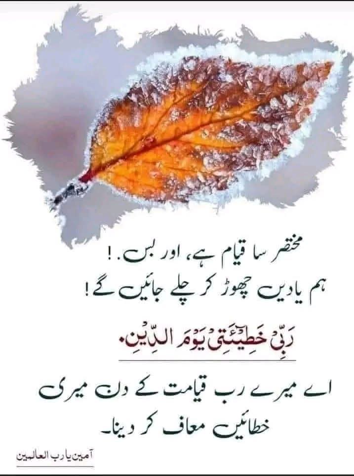 Mian Umar Farooq (@1975mian) on Twitter photo 