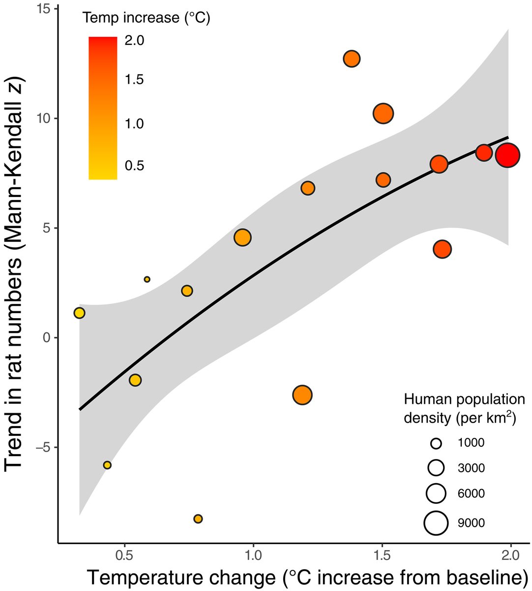 Science Magazine (@sciencemagazine) on Twitter photo Rat populations are rising in cities predominantly because of warmer average temperatures, reports a new <a href="/ScienceAdvances/">Science Advances</a> study. scim.ag/4aB6Hl9 Rat populations are rising in cities predominantly because of warmer average temperatures, reports a new <a href="/ScienceAdvances/">Science Advances</a> study. scim.ag/4aB6Hl9