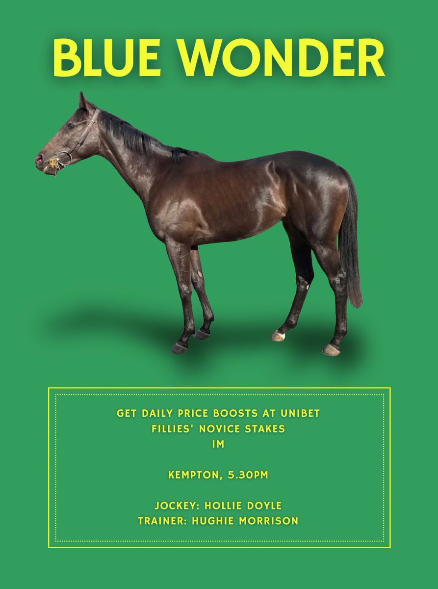 ThurloeThoroughbreds (@thurloethbreds) on Twitter photo We are looking forward to seeing our Blue Wonder return to <a href="/kemptonparkrace/">Kempton Park Racecourse</a> this evening for her 2nd run. She was a very promising 2nd on debut just 3 weeks ago.
π€π»<a href="/Summerdown1997/">Hughie Morrison Racing</a> <a href="/Hughiemorrison2/">Hughiemorrison</a> <a href="/HollieDoyle1/">Hollie Doyle</a> π€π» We are looking forward to seeing our Blue Wonder return to <a href="/kemptonparkrace/">Kempton Park Racecourse</a> this evening for her 2nd run. She was a very promising 2nd on debut just 3 weeks ago.
π€π»<a href="/Summerdown1997/">Hughie Morrison Racing</a> <a href="/Hughiemorrison2/">Hughiemorrison</a> <a href="/HollieDoyle1/">Hollie Doyle</a> π€π»