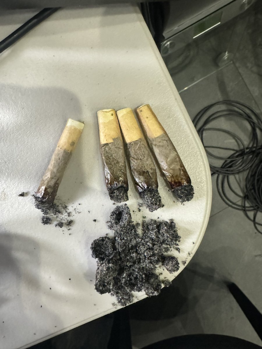 Wiz Khalifa just said these are his “roaches” 😭💔