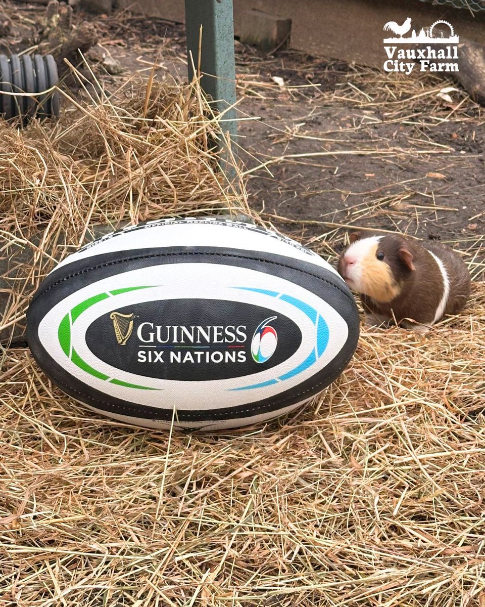🏉 Six Nations 🏉  Watch the six nations games in our farm bar!

The bar opens at 12pm from Tue - Sun, for closing times on specific game days, drop us a DM or pop us an email: info@vauxhallcityfarm.org 

#vauxhallcityfarm #sixnations #guinnesssixnations