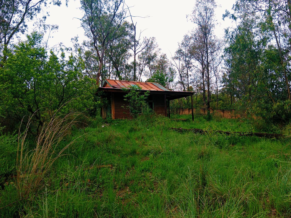 Our little house in the bush / Ghost house

#filming #locationshoot #locationscout #shootlocation #moviedirector #filmdirector #filmindustry #fixer #moviemakers