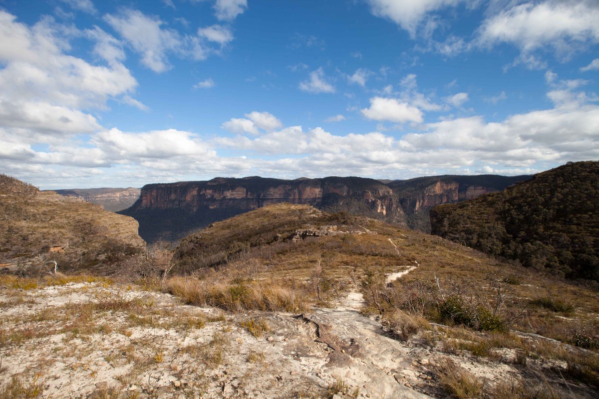 Adam Harrison tweet media