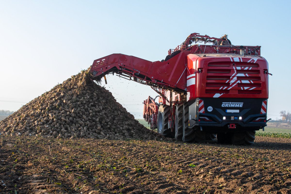#sugarbeetsunday
REXOR 6300! 🌱
Four chopper variants, two digging systems, countless assistance systems and one goal: maximum power and maximum comfort! 💪

#GRIMMEGroup #sugarbeetsunday #grimmesmartview #grimmeworldwide #sugarbeet #newseasoncomessoon #sugarbeetharvest