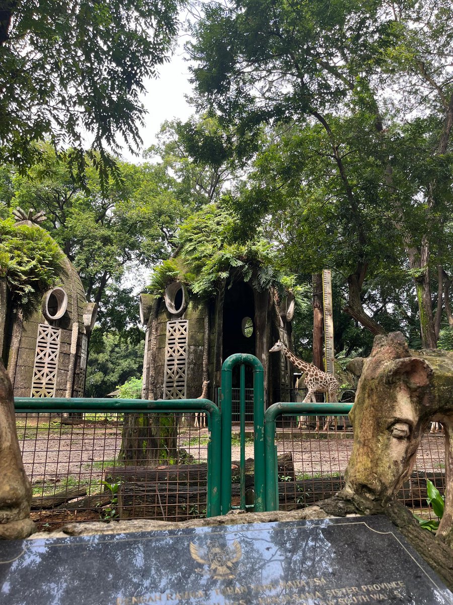 lovingmeeeeeee's tweet photo. siapa yang udah gede belum pernah ke ragunan? cepetan cobain ke ke ragunan pas udah gede gini ternyata inner child vibesnya seru loh, terus berangkatnya dari pagian sekitar jam setengah 7an, supaya bisa jogging di dekat danau 🤩 u must try guyss https://t.co/MxuPN7u9VZ