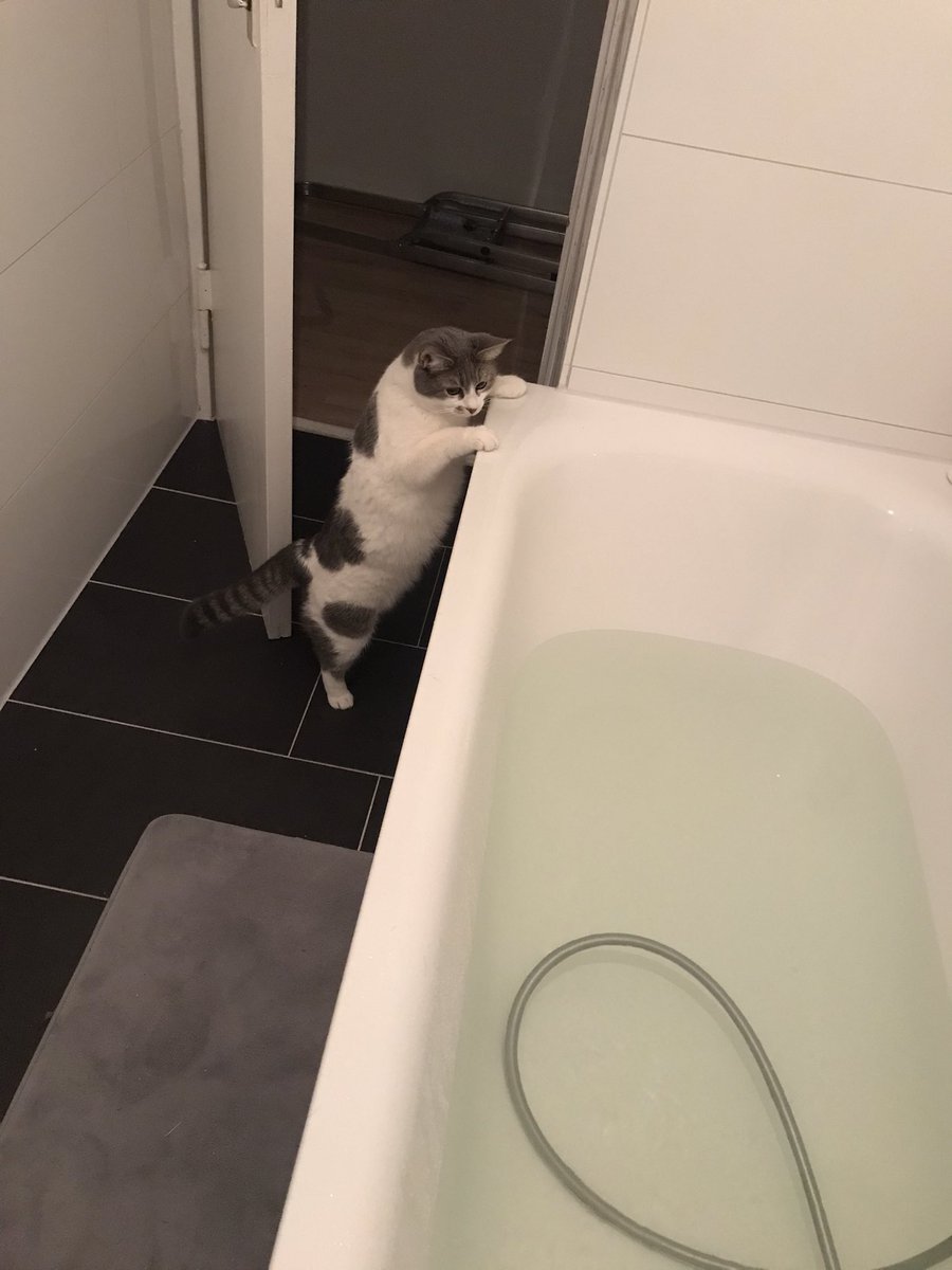 sumatra🌈 tweet media