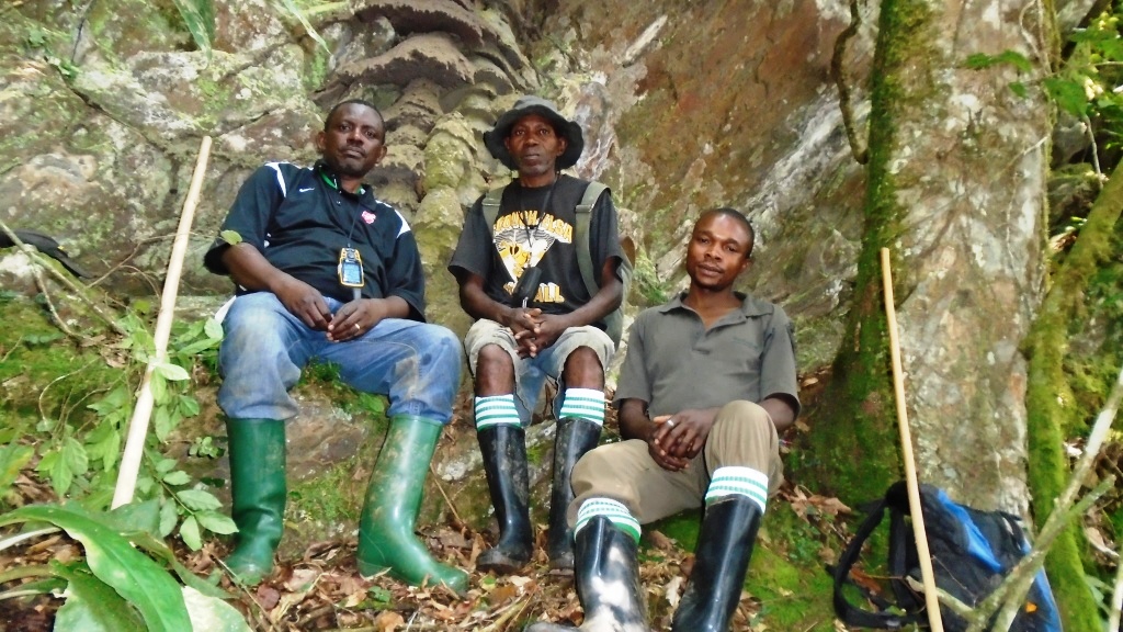 Rangers risk their lives to protect gorillas—removing snares, defending against militias and deforestation, and monitoring conservation efforts. Their work is relentless, and they need your support. Learn more: bit.ly/supportingrang…