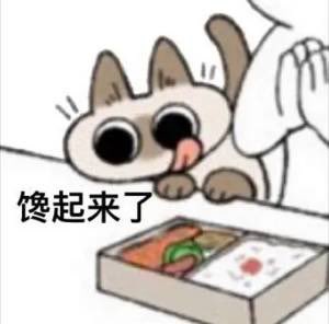 Cow_Variable's tweet photo. 有没有人赞助我买个极蜂骑骑 https://t.co/RVJVc6Lw7Q