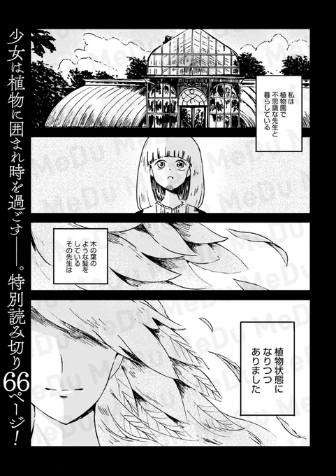 少女が恋をしたのは残酷な運命を背負った人でした(1/5) 