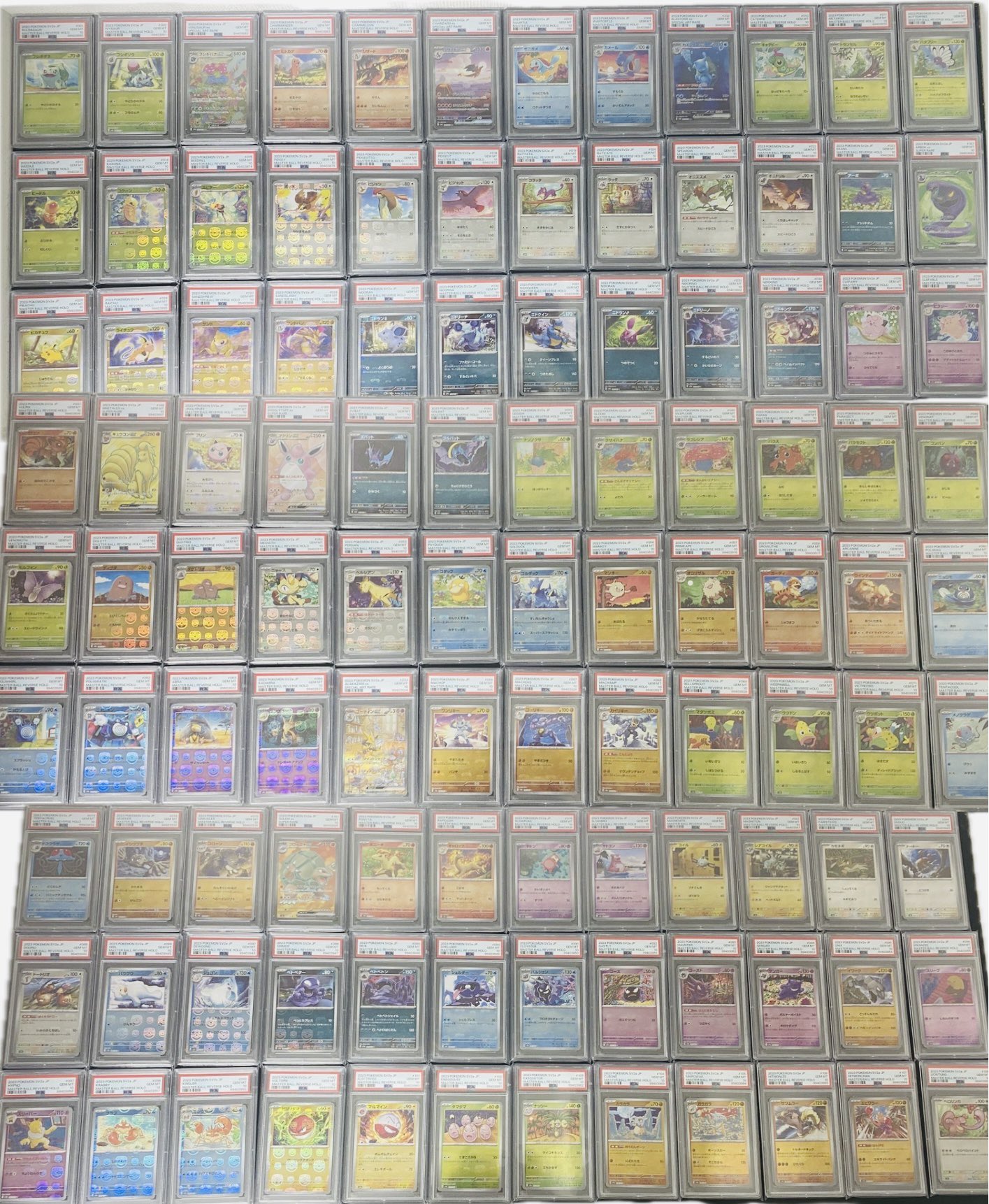 PDG Collector's Shop 秋葉原 on X: 