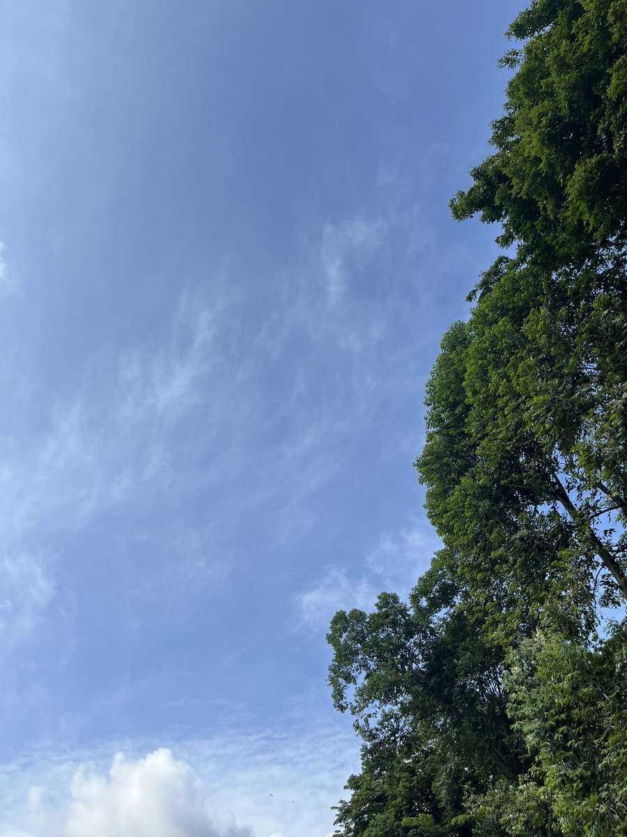 itscocomeloon's tweet photo. Clouds are just a reminder that the sky is endless https://t.co/7emDiYJFl4