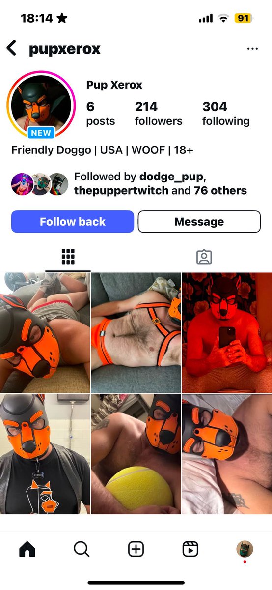 PupXerox's tweet photo. So someone has decided to take my pictures and make a fake profile on instagram. https://t.co/a944v7QXw1