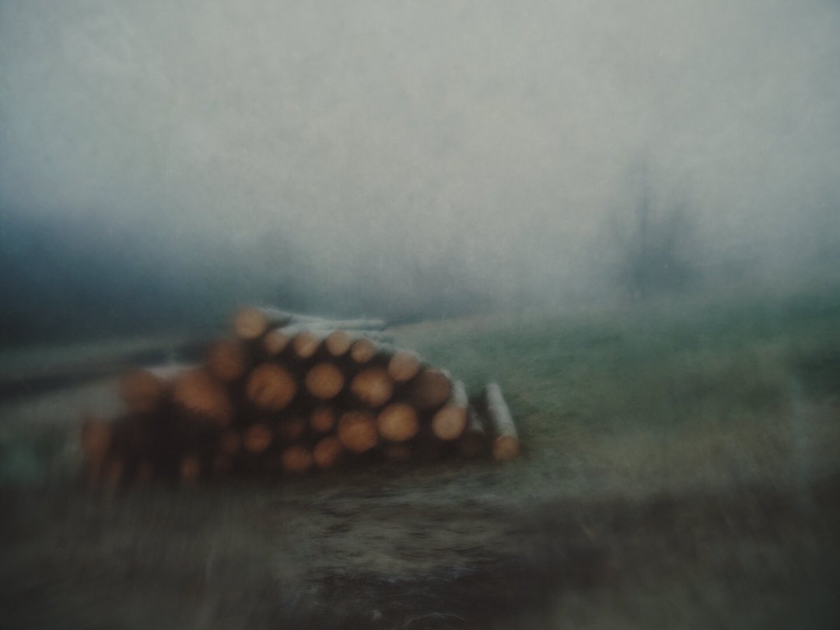 Thaddäus tweet media