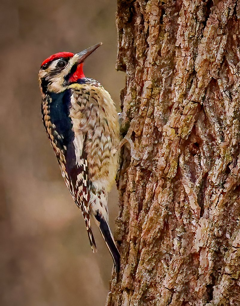 Gary Ladner tweet media