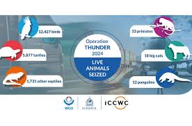 Nearly 20,000 live animals seized, 365 suspects arrested in largest-ever wildlife and forestry operation. 138 countries and regions join forces to target fauna and flora #trafficking worldwide. 

#wildlifetrafficking #news #seizures #endangeredspecies

interpol.int/News-and-Event…