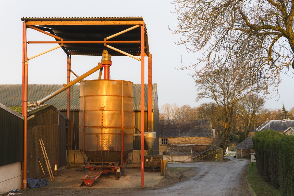 Anthony Johnson tweet media