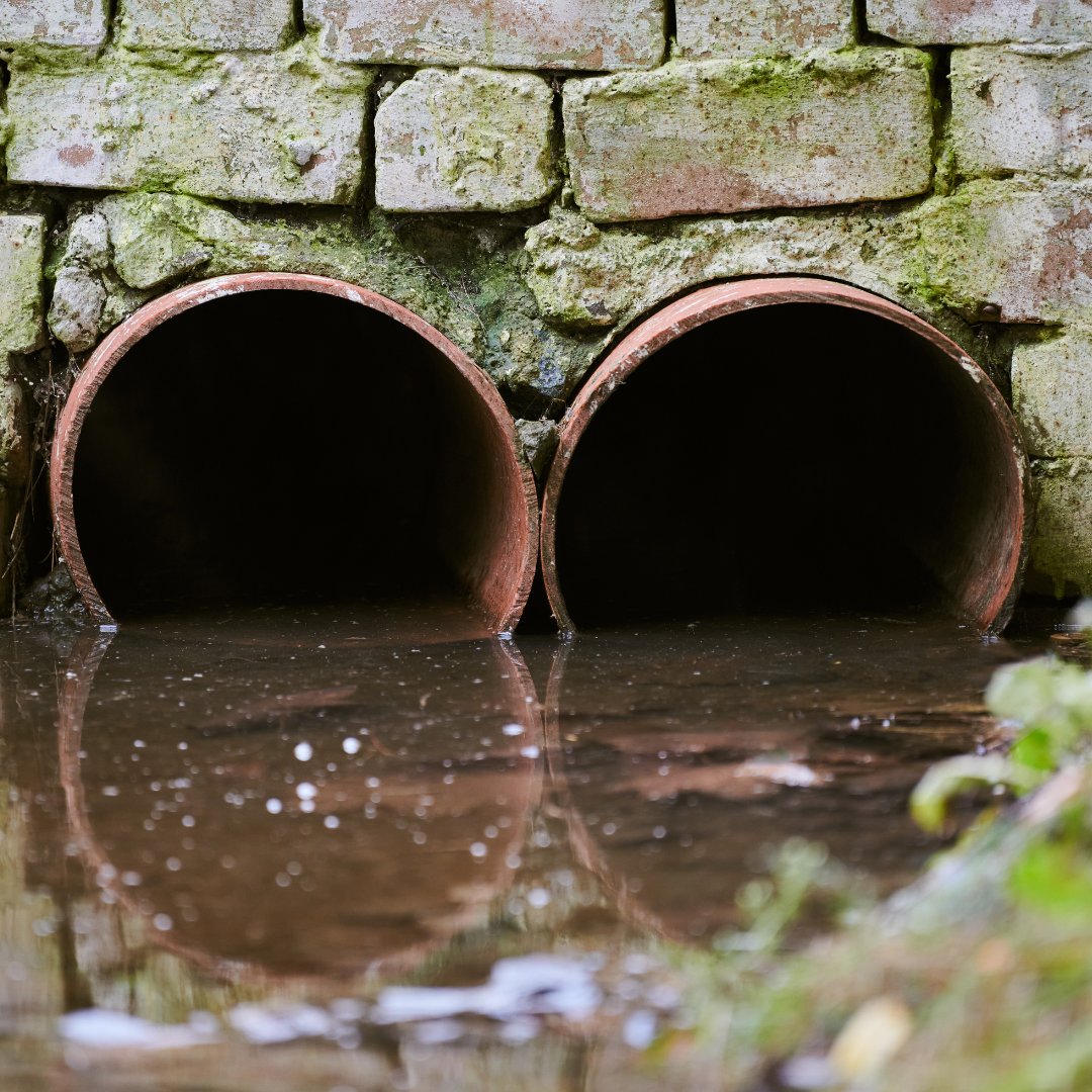 💰 £11 Million waiting to restore our rivers!

Fines from water companies should fix pollution damage, but not a penny has been spent.

We've urged Water Minister Emma Hardy to release these funds for essential river restoration.

Read our joint letter 👇
theriverstrust.org/about-us/news/…