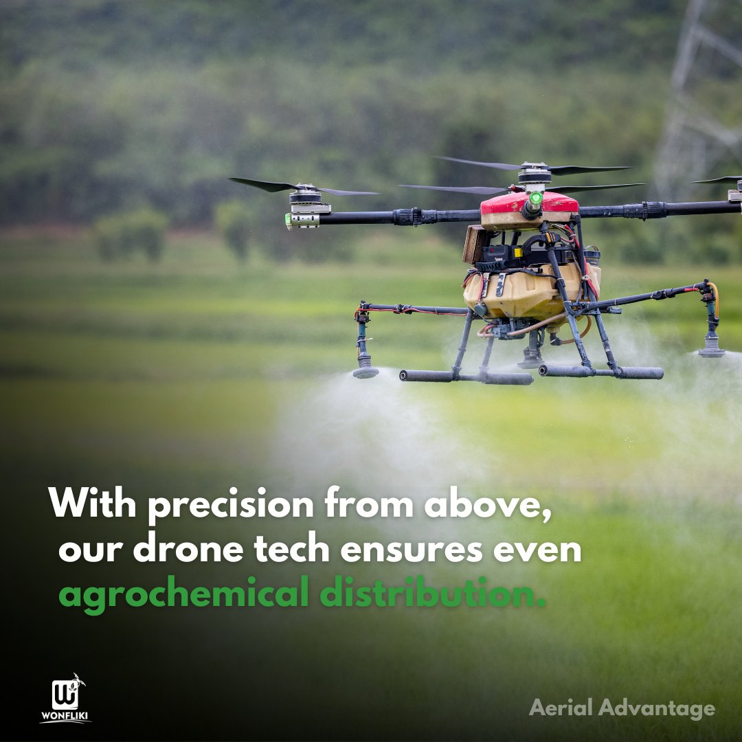 Wonfliki tweet media