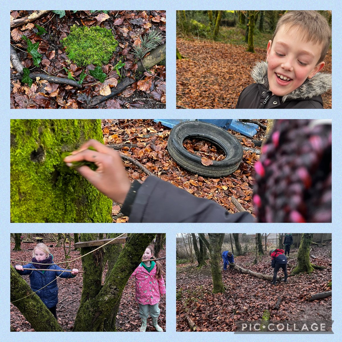 Mrs Francis (@mrsfrancis18) on Twitter photo Wonderful way to allow the children to lead the learning. Lots of fun exploring, constructing, team building , making music and expressing yourself through nature #health and wellbeing <a href="/StMarysCIW/">St Mary's Church in Wales Primary School, Brynmawr</a> <a href="/EcoSchoolsWales/">Eco-Schools Wales</a> Wonderful way to allow the children to lead the learning. Lots of fun exploring, constructing, team building , making music and expressing yourself through nature #health and wellbeing <a href="/StMarysCIW/">St Mary's Church in Wales Primary School, Brynmawr</a> <a href="/EcoSchoolsWales/">Eco-Schools Wales</a>