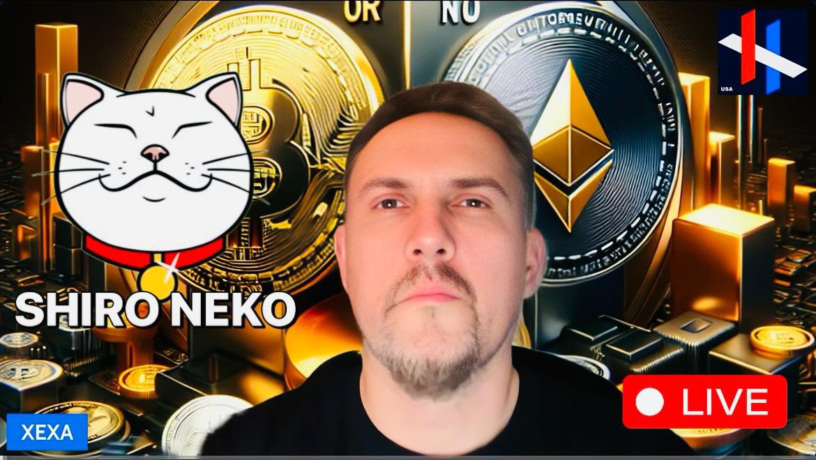 youtube.com/live/EzBx5y7pd…
Paws to Power. $SHIRO