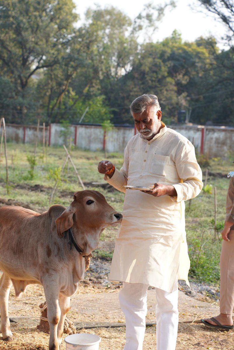 भोपाल निवास पर गौ सेवा का अवसर सदैव रहता है। गौ माता की कृपा सदैव बनी रहे।
<a href="/BJP4MP/">BJP Madhya Pradesh</a>