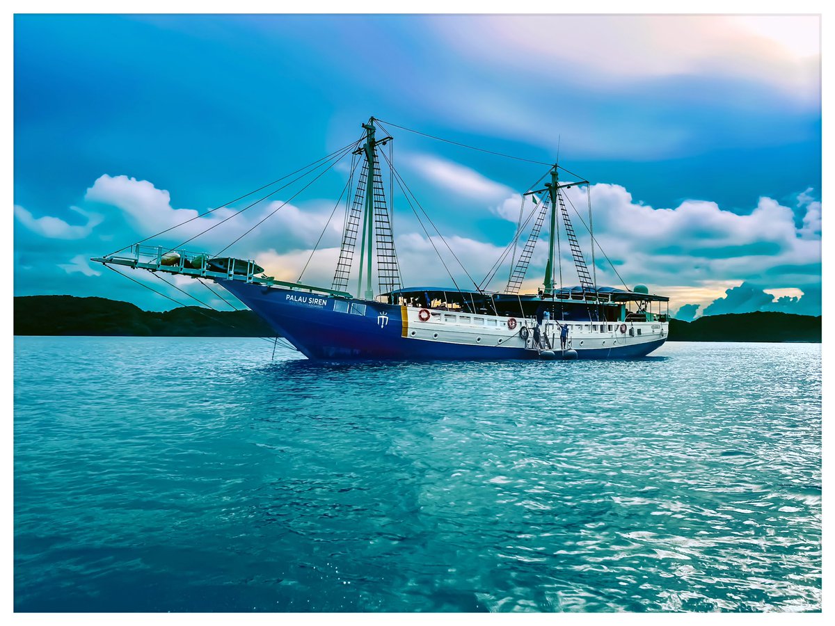 dominik_johnson's tweet image. ready for more underwater adventures in palau! 🇵🇼 #WinterRhythm and #ScubaDiving w/ #Liveaboard cc. @PADI @visitpalau_ @lovedivevolk @Apple @AppleMusic @scubadivingmag @tauchenmagazin @DiveMagazine