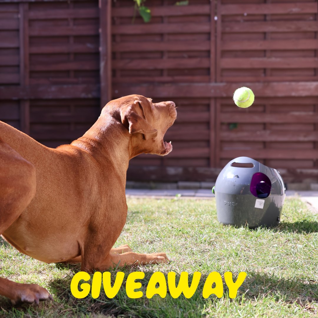 PetSafe Europe tweet media