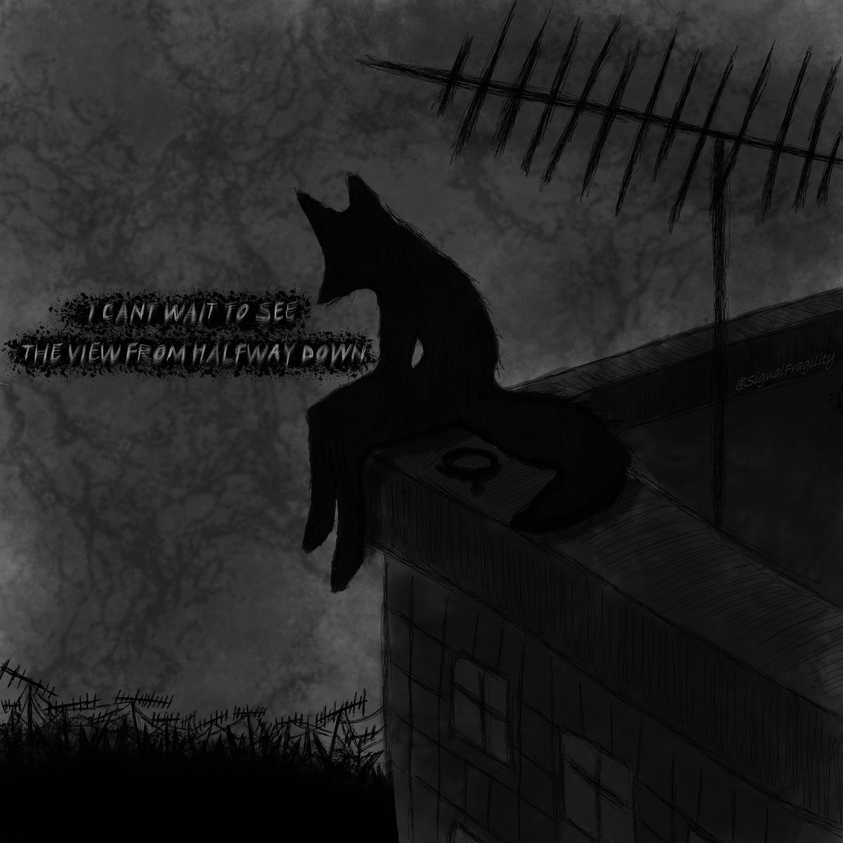 SignalFragility tweet media