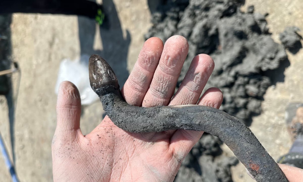 RenaissanceGSB's tweet photo. A fascinating story that speaks to the longevity of bronze – a number of ancient bronze relics have been retrieved from a natural thermal spa in Italy by archaeologists who estimate they date from the 5th Century!

Source: The Guardian
📸 Claudia Petrini / Jacopo Tabolli https://t.co/boWhzQD8vk
