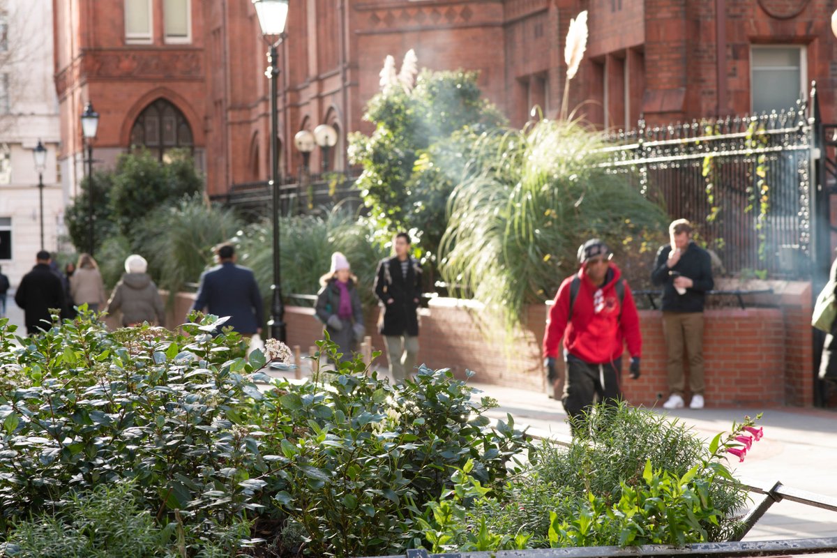 In collaboration with 120 Holborn, we have replanted Leather Lane’s planters with new shrubs and flowers, including agapanthus, red and white cyclamen, helloborus and lavender! 🥀🌻🪴