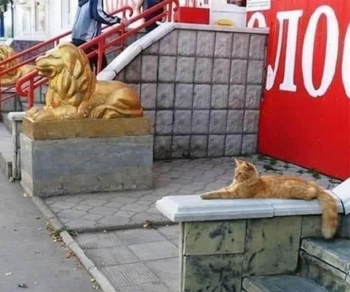 When you lie on your CV but get the job anyway.