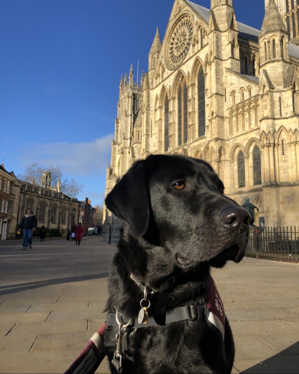 HearingDogs's tweet image. Annabel shares what it feels like to be partnered with hearing dog Guinness:

&quot;It’s amazing having him there as my constant shadow, he’s made such a massive &amp;amp; positive impact on my life. I honestly don’t know what I’d do without him.&quot; 

Read their story 👉 ow.ly/PBo250UOwNl