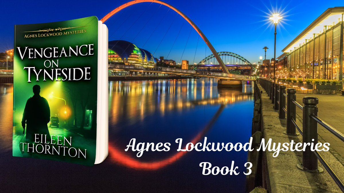 Vengeance on Tyneside
books2read.com/u/mvWJMV

Agnes finds a young woman who had been stabbed and is straight on the case. But then another women is found stabbed.
Might there be some connection..?

#Newcastle #NextChapterPub #EileenThornton