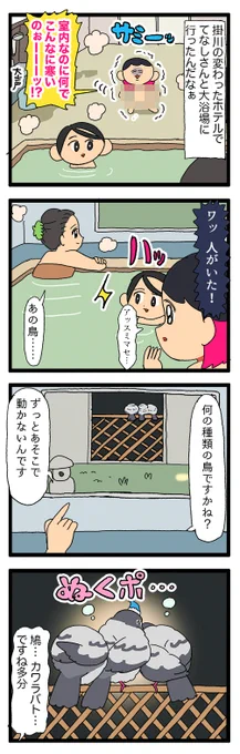 大浴場の窓の外にまんまるに膨らんだ安全な鳩が居て、最高の入浴🐥🐥🐥

2022 #えるポピの絵日記かくところ 