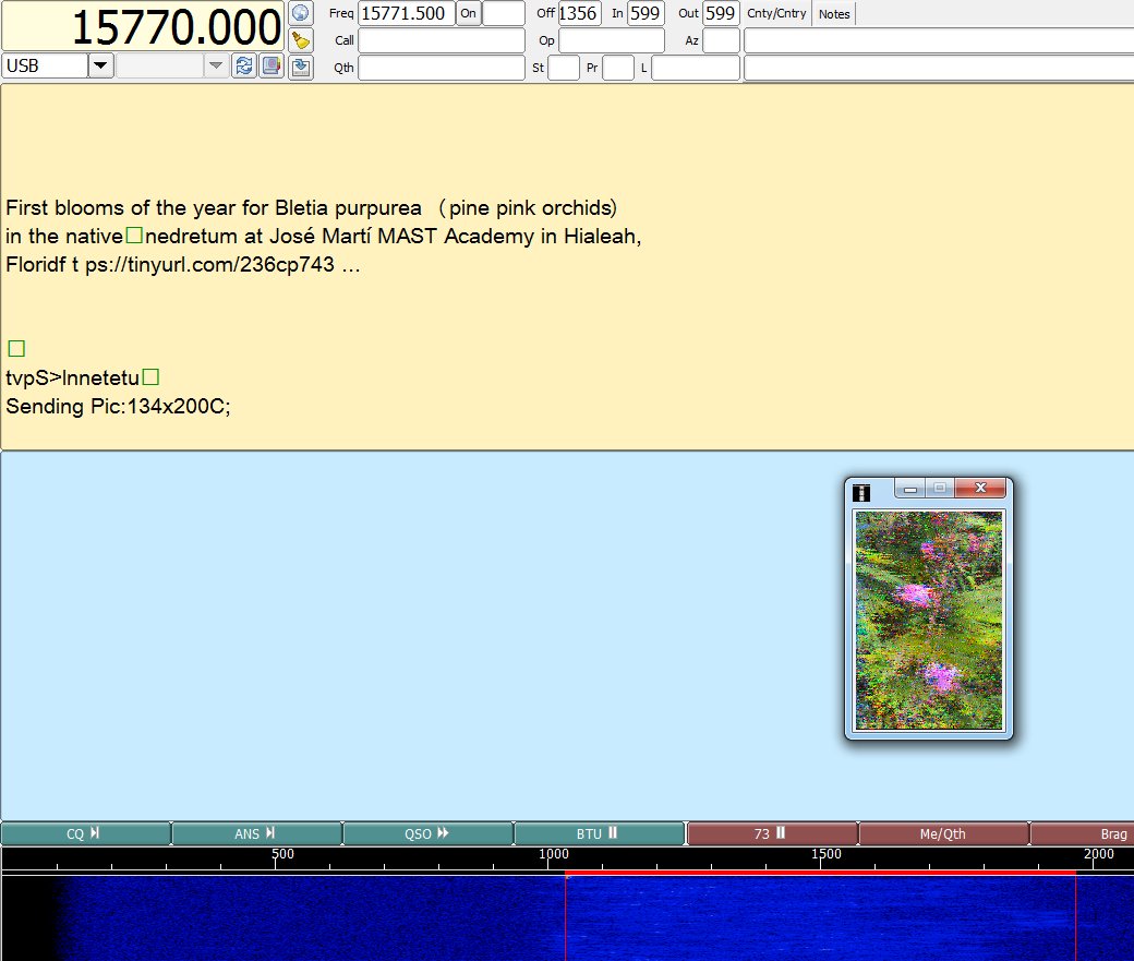 vk6ysf97230's tweet photo. Monitored WRMI Florida USA
Radiogram broadcast
05 Feb 2025, 1355 UTC
Frequency: 15770.0kHz USB
Mode: MFSK64 (Fldigi)
Program duration 30 min. 100% decode with images.
Details: https://t.co/BLkDqMSm3P
#swl #mfsk32 #mfsk64 #swradiogram #FLDIGI #wrmi https://t.co/WAnDLFyzri