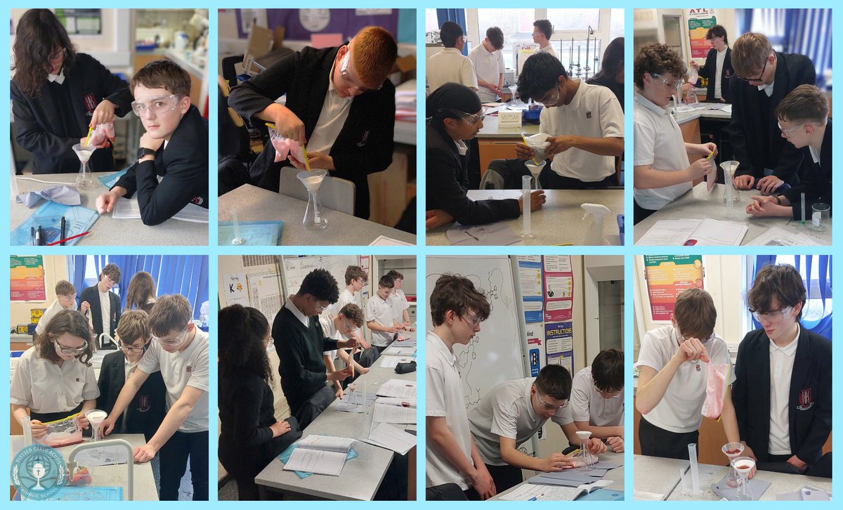 🚨 Science in action! 🚨 Mr. Walsh’s Year 9 class had a blast extracting DNA from strawberries last week 🍓🧬 Who knew science could be this cool (and fruity)? 🔬 #STEM #FutureScientists <a href="/BishopHedleyRC/">BCA @ BHHS Campus</a>