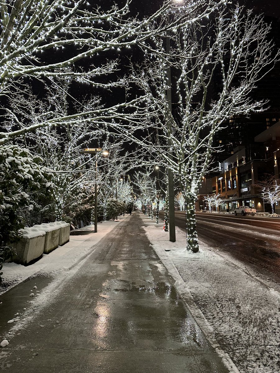 Chris Bell tweet media