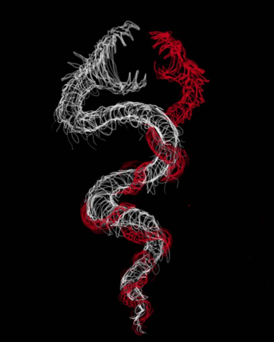 "Snake tangle sketch"