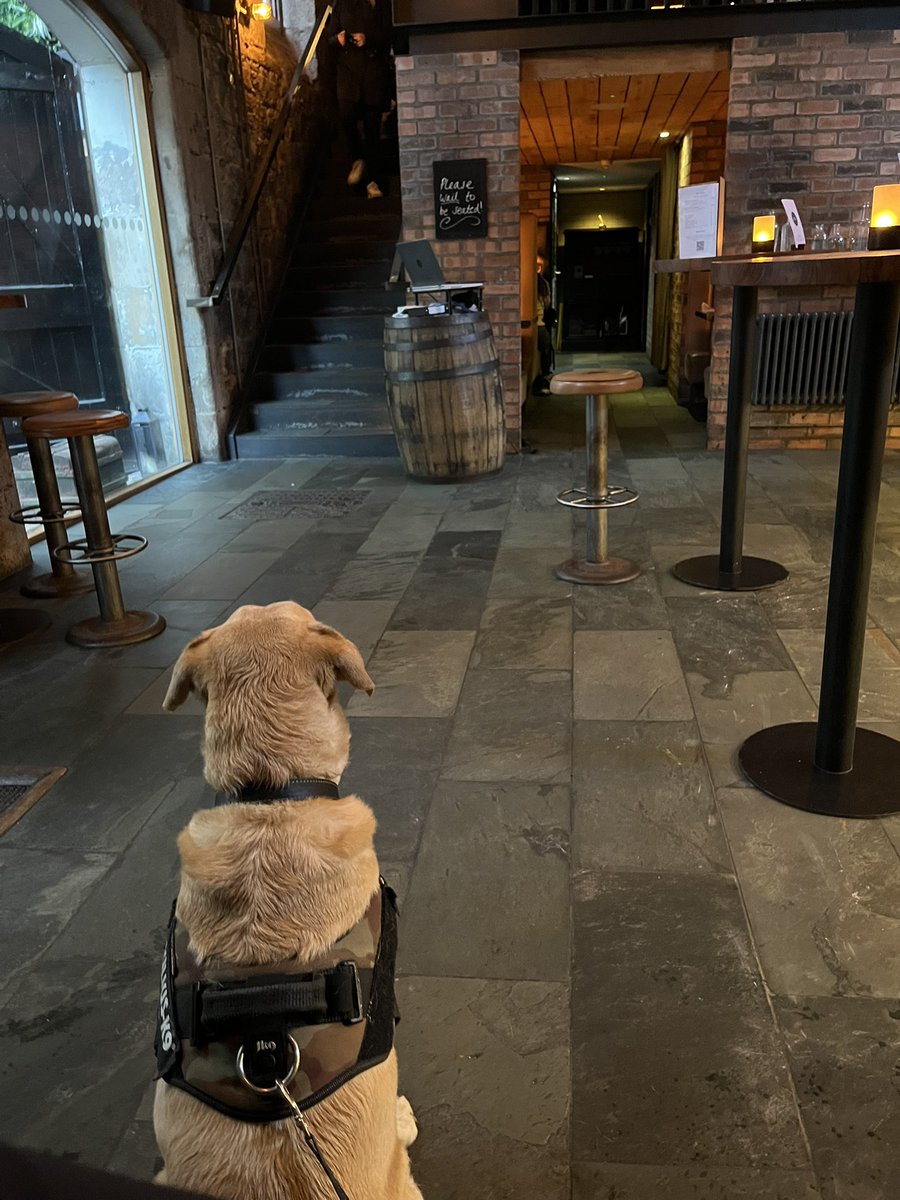 Still looking for Beth in #Edinburgh following a lead (get it) 
#ThewitchesheART book 2 The Order
#bandt #dogstar could this be where she’s working?