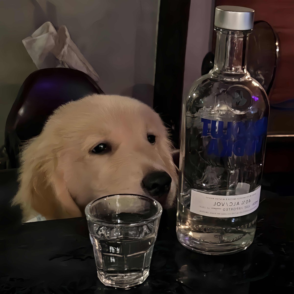 我人傻了 过完年不知道去哪里好了