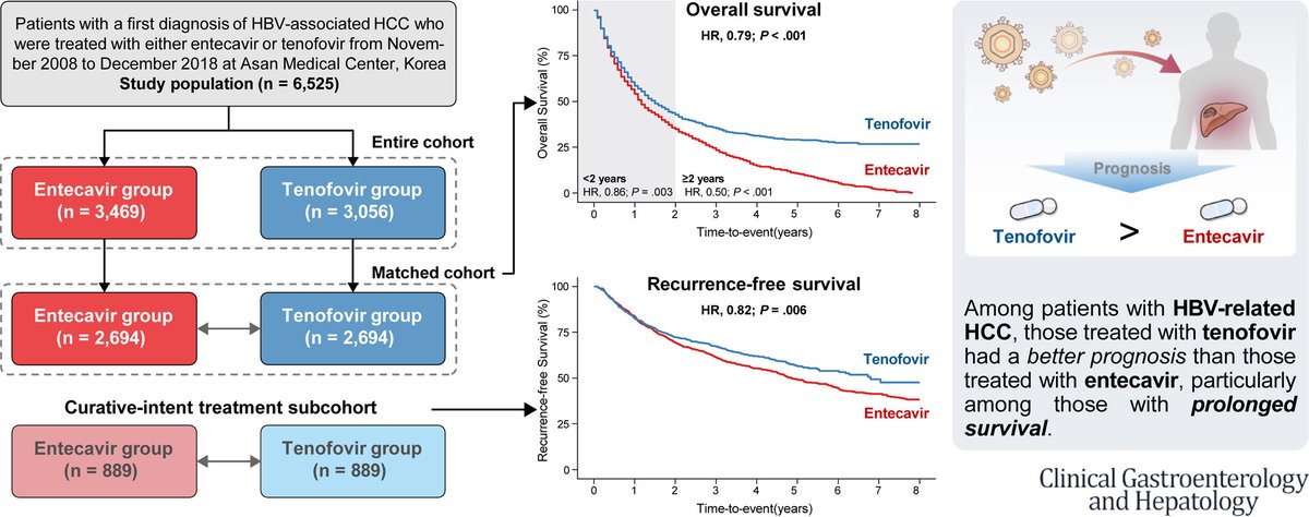 Among patients with HBV-related #HCC, those treated with tenofovir had a better prognosis than those treated with entecavir, particularly among those with prolonged survival: ow.ly/q5oI50UTFkQ