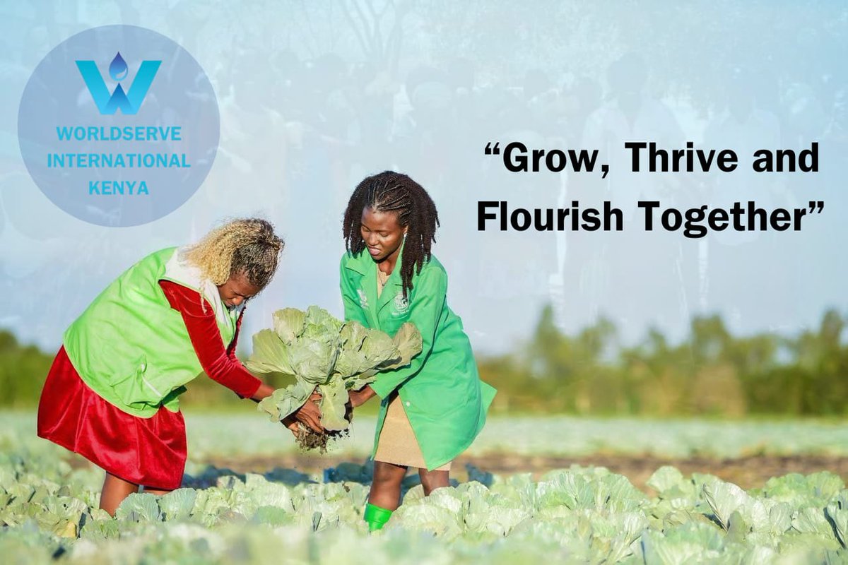 worldserveKenya's tweet photo. There’s something truly special about getting your hands in the soil and seeing the fruits of your labor come to life. Every plant we pick represents dedication, resilience, and the beauty of nature’s cycle. 

Thanks to KAG Lima Project and WorldServe International. https://t.co/ePXokZR9zA