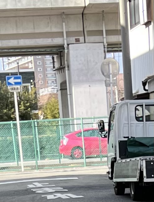会社の近くにしのあん来てた？