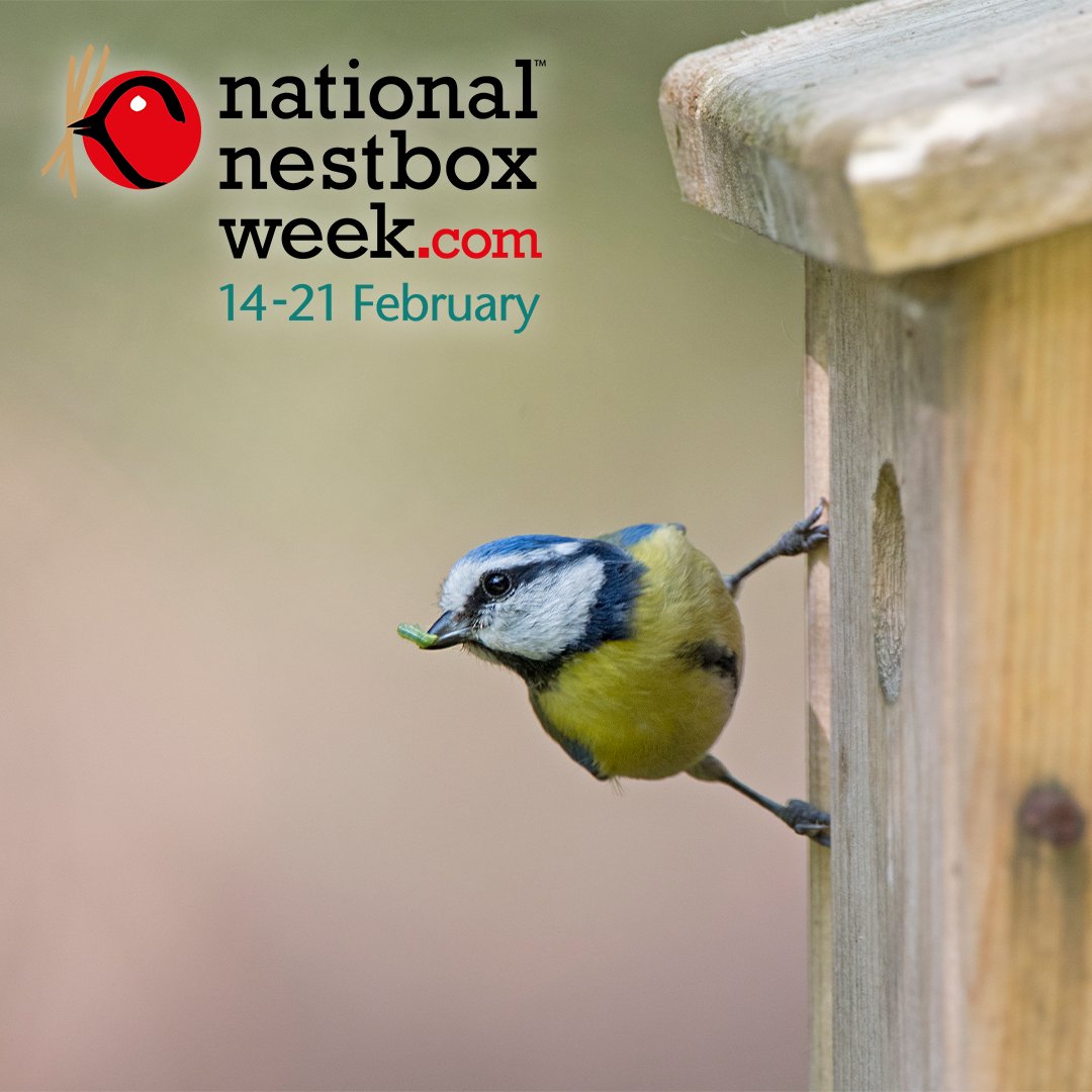 whitakersinfo's tweet photo. Get ready for #NestboxWeek starting 14th February! 🌿
Pop into Whitakers Garden Centre to see our new range of nestboxes. Perfect for attracting beautiful birds and easing your stress. 🐦
Check it out: https://t.co/LKQRJMYxV0
#WildlifeGarden #Birdwatching https://t.co/TXrJVj2lRb
