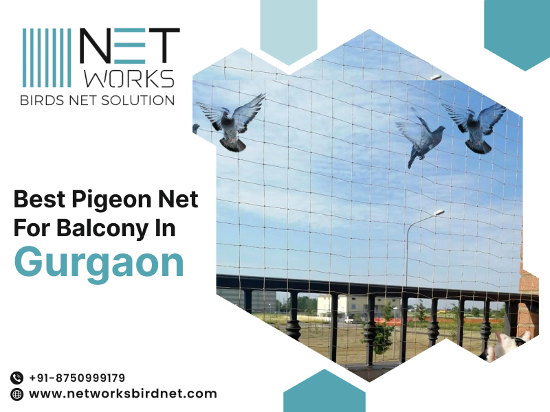 networksbirdnet's tweet image. Best Pigeon Net for Balcony in Gurgaon – Networks Bird Net
📞 Contact +91-8750999179 today for best pigeon net for balcony in Gurgaon!
Visit: networksbirdnet.com/bird-net-in-gu…
#PigeonNetGurgaon #BirdNetInstallation #BalconyProtection #NetworksBirdNet #SafeBalcony