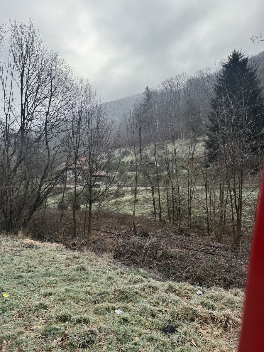 Matt Groombridge tweet media