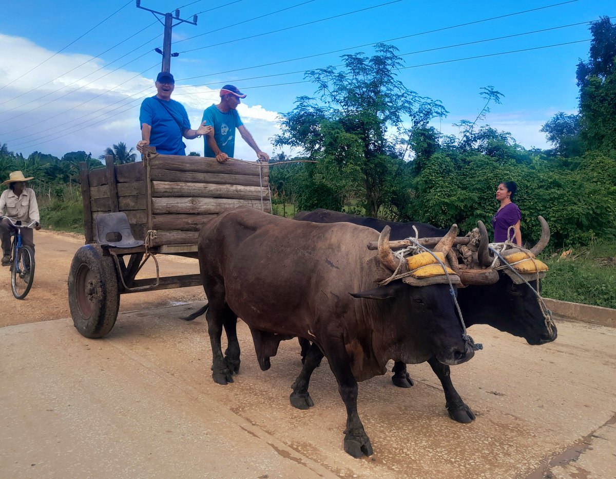emimundo's tweet photo. 🇨🇺#Cuba en su gente feliz de tierra adentro. En 4 veredas, #Mayarí, prima la cordialidad y el amor. #YoSoyCuba #Holguín https://t.co/uoBtAwtsP5