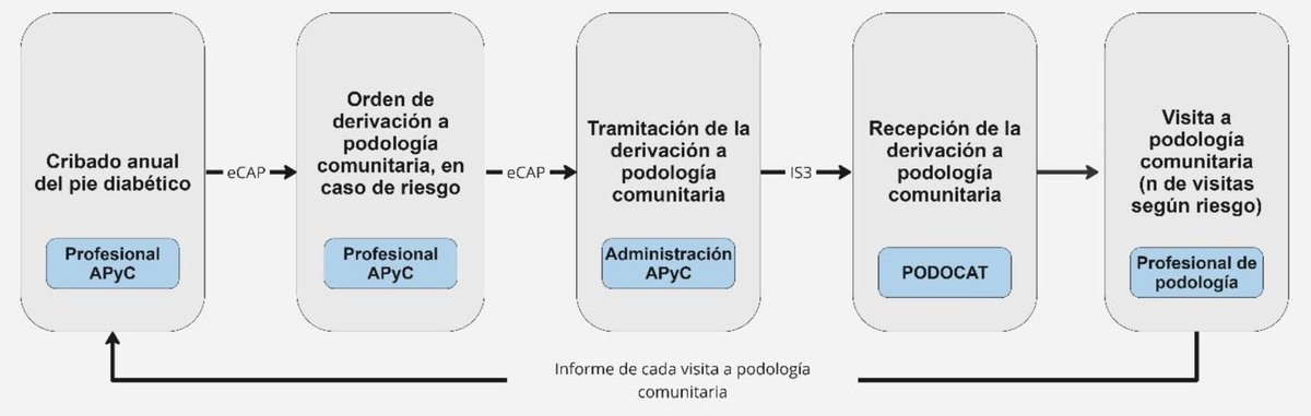 Proceso de mejora de la prestación de atención podológica comunitaria en las personas con diabetes mellitus en Catalunya. elsevier.es/es-revista-ate…