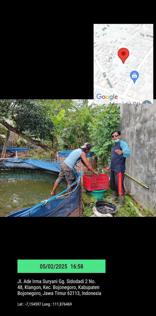 bett_alqi's tweet photo. Rabu (5/2), Baiti, Luhkan Bojonegoro, mendampingi #panen Lele di Bpk Irawan (Kel. Klangon), teknologi sederhana, sebanyak 75 kg, kolam terpal luas 19 m², size 8 - 12 ek/kg, harga Rp. 19.000/kg
#GiatLuhkanSatminkalBWI
#Bnegoro 
@pusluh_bppsdm
@bppsdm_bp3bwi https://t.co/X4AolI82sl