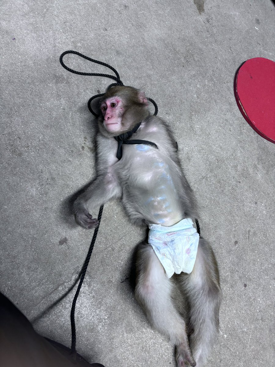 オムツのCMください。 新生児サイズ履いてます。 関係者の皆様よろしく